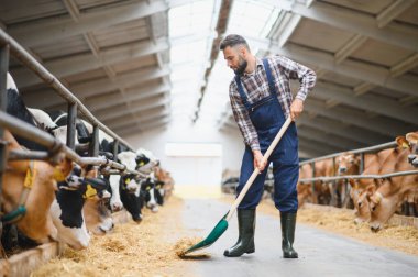 Genç çiftçi ahırda bir yabayla saman saçıyor, kırsal bir ahırda çiftlik hayvanlarına bakıyor, yiyecek üretimini sağlıyordu.