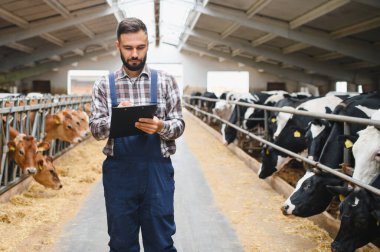 Çiftçi, modern bir ahırda inekleri incelerken panoya notlar yazıyor. Etkili süt üretimi ve hayvan refahı sağlıyor.