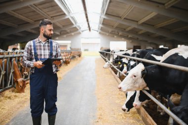 Tulum giyen çiftçi, ahırda saman yerken not alıyor.