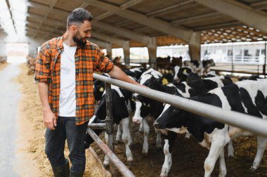 Genç çiftçi, ineklerini büyük ve modern bir ahırda okşarken, onların refahını ve verimliliğini sağlıyordu.