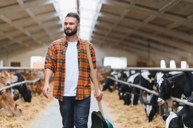 Çiftçi çiftlik çiftliğinde kürek taşıyıp yürüyor, çiftlik hayvanlarına bakıyor ve tarım üretiminde çalışıyor.