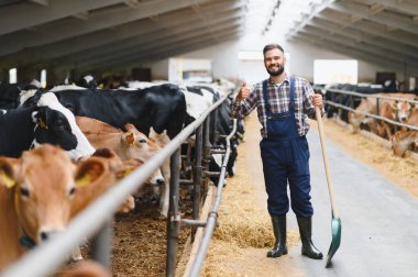Gururlu çiftçi, elinde kürekle, köylü tarımını somutlaştıran, rahat bir ahırda, ineklerle çevrili bir şekilde başparmağını kaldırıyor.