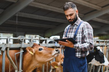 Modern bir ahırda süt sığırlarını yönetirken ve kontrol ederken dijital tablet kullanan çiftçi, tarımda teknoloji sergiliyor.