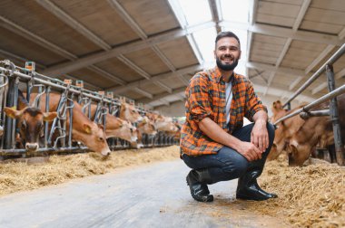 Genç çiftçi ahırda çömelmiş, ineklerin samanı kemirmesini izliyor, tarım ve tarım endüstrisinin özünü somutlaştırıyor.