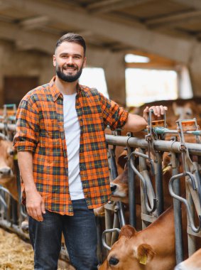 Genç çiftçi, aydınlık ve güneşli bir günde, etrafını Jersey sığırları saran bir ahırın çitlerine yaslanırken gülümsüyor.