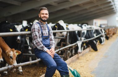 Arka planda saman yiyen ineklerle ahırda oturmuş gülümseyen genç bir çiftçinin portresi.