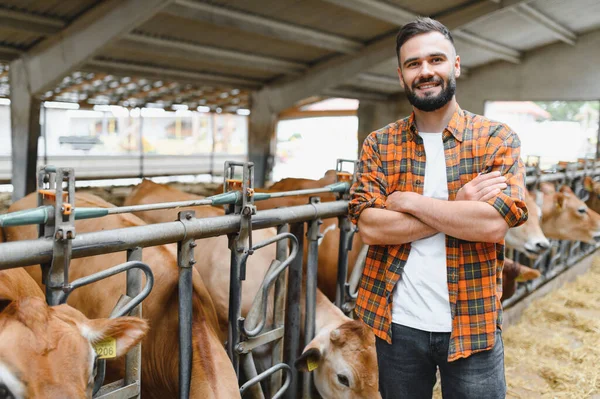 İnek ahırında çapraz kollarıyla duran kendinden emin çiftçi, modern mandıradaki sağlıklı çiftlik hayvanlarını gururla denetliyor.