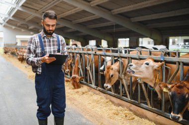 Çiftçi, ahırdaki inekleri incelerken panoya notlar yazarak verimli bir çiftlik hayvanı yönetimi ve hayvan refahı sağlıyordu.