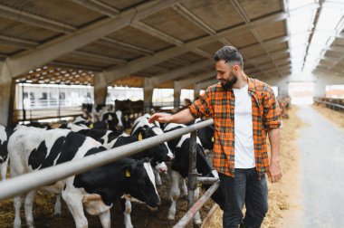 Genç çiftçi ineklerini büyük ve modern bir ahırda okşarken, çiftlik hayvanları bakımını ve sürdürülebilir tarımı temsil ediyor.