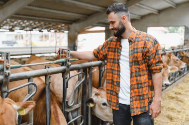 Genç çiftçi rahat bir ahırda Jersey sığırlarıyla ilgilenirken gülümsüyor, tarımın ve çiftlik hayvanlarının ödüllendirildiği hayatın tadını çıkarıyor.
