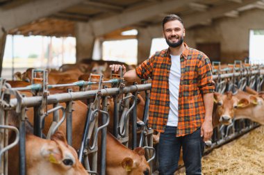 Genç bir çiftçinin portresi, ahırda bir sıra formalı ineğin yanında gururlu bir tarımsal yaşam tarzını sergilerken güvenle gülümsüyor.