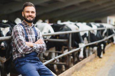 Çapraz kollarla gülümseyen genç bir çiftçinin portresi, siyah ve beyaz ineklerle dolu bir ahırda oturmuş,