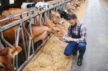 Genç çiftçi, modern bir ahırda inekleri incelerken dijital tablet kullanıyor ve teknolojinin tarımla bütünleşmesini gösteriyor.