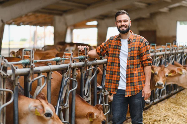 Genç bir çiftçinin portresi, ahırda bir sıra formalı ineğin yanında gururlu bir tarımsal yaşam tarzını sergilerken güvenle gülümsüyor.