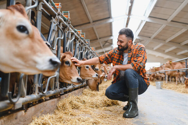 Фермер нежно гладит корову в современном сарае, подчеркивая важность благополучия животных в устойчивом сельском хозяйстве.