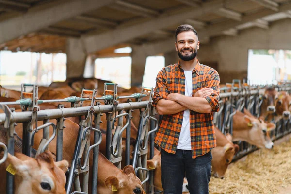 Kendine güvenen çiftçi, kollarını kavuşturarak gülümsüyor, inek ahırında Jersey sığırlarıyla gururla duruyor, başarılı çiftlik yönetimini sergiliyor.