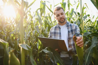 Çiftçi, mısır büyümesini kontrol etmek için modern teknolojiyi kullanıyor, ekili tarlalarda sağlıklı hasat sağlıyor.