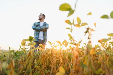 Gün batımında soya tarlasında durup hasadının büyümesine hayran olan çapraz kollu kendinden emin bir çiftçi.