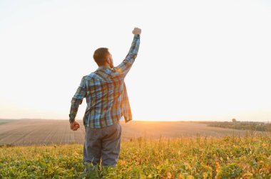 Başarılı bir hasatı kutluyoruz, çiftçi soya fasulyesi tarlasının ortasında yumruğunu kaldırıyor, gün batımının sıcacık parıltısında güneşleniyor.