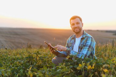 Günbatımında soya fasulyesi ekinlerini incelerken dijital tablet kullanan çiftçi, teknolojinin modern tarıma entegrasyonunu sergiliyor.