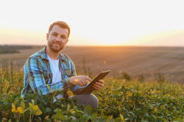 Agronomist günbatımında ekilmiş soya tarlasında modern teknolojileri kullanarak hasat sürecini analiz ediyor.