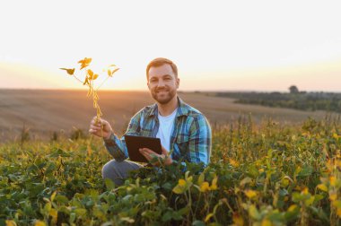 Tarladaki soya bitkilerini analiz eden tarımcı sürdürülebilir tarım için modern teknolojiyi kullanıyor.