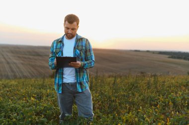 Çiftçi, altın saat günbatımında soya tarlasında ekinleri incelerken panoya notlar yazıyor.