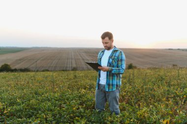 Gün batımında ekili soya tarlasında mahsulleri incelerken panoya zirai yazılar yazıyorlar.