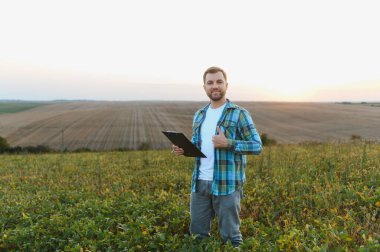 Büyüyen soya tohumlarını inceleyen ve hasattan memnun olan tarımcı.