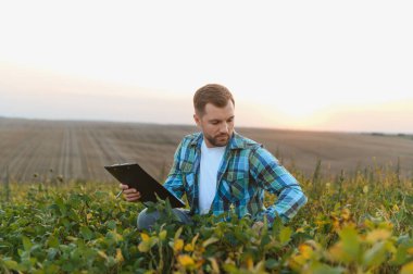 Çiftçi soya fasulyelerini gün batımında inceliyor, elinde bir pano tutuyor ve ekinlerinin sağlığı ve büyümesi hakkında notlar alıyor.