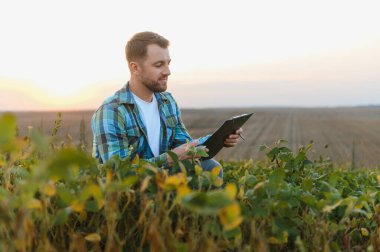 Agronomist günbatımında soya tarlasını incelerken bir panoya not alıyor, ürün yönetimi ve büyüme analizi için gerekli verileri yakalıyor