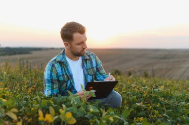 Agronomist günbatımında soya tarlasında ekinleri incelerken panoya notlar yazarak sağlıklı bir büyüme ve hasat planlaması sağlıyor.