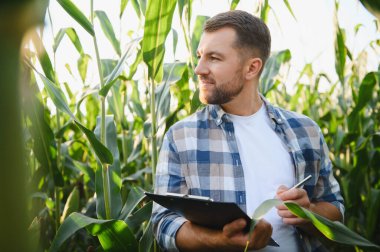 Mısır bitkisinin büyümesini analiz eden çiftçi, ekili tarım alanındaki panoya not alıyor, sağlıklı hasat garantisi veriyor.