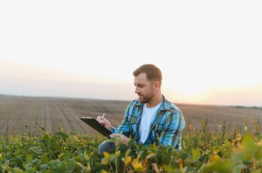 Soya tarlasında günbatımında ekinleri inceleyen ve panoya notlar yazan çiftçi, tarım uygulamalarını ve hasat planlamasını gösteriyor