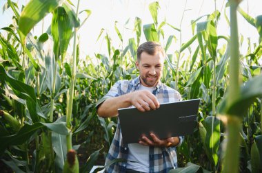 Mutlu çiftçi tarımı geliştirmek, ekin büyümesini maksimize etmek ve tarladaki verimi artırmak için modern teknolojiyi kullanıyor.