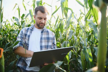 Tarım alanında verimli ürün yönetimi için modern teknolojiyi kullanan çiftçi, üretkenliği ve sürdürülebilirliği artırıyor
