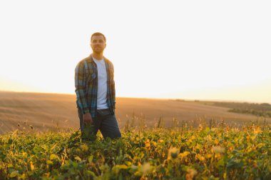 Çiftçi, huzurlu kırsal manzarayla çevrili, yemyeşil soya tarlasında yürürken günbatımının huzurlu güzelliğinin tadını çıkarıyor.