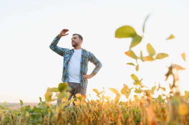 Gözlerini güneşten koruyan, soya fasulyesi tarlasını gururla inceleyen başarılı bir hasat ve yatırımdan geri dönüş sağlayan kendinden emin çiftçi.