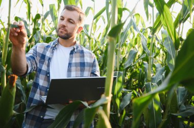Çiftçinin elinde dizüstü bilgisayar ve ekili alanda mısır yaprağı teftişi, verimli ürün yönetimi için modern tarım teknolojileri uygulaması
