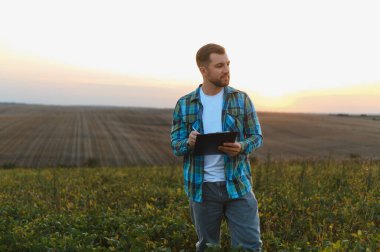 Çiftçi günbatımında soya tarlasında ekinleri incelerken, tarım uygulamalarını ve hasat planlarını gösteren panoya notlar yazıyor.