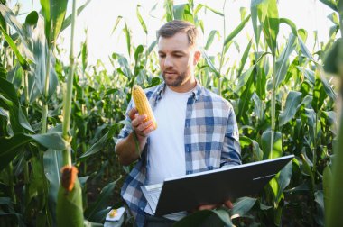 Mısır koçanı analizi yapan ve tarımsal alanda veri toplamak için dizüstü bilgisayar kullanan çiftçi, yenilikçi tarım uygulamaları sergiliyor