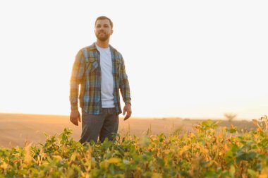 Çiftçi, yemyeşil soya tarlasında yürürken gün batımının dingin güzelliğinin tadını çıkarıyor. Ekinlerinin büyümesini ve geleceğini yansıtıyor.