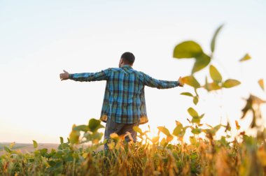 Kollarını açıp soya fasulyesi tarlasında günbatımının tadını çıkaran çiftçi başarılı bir hasat kutluyor.