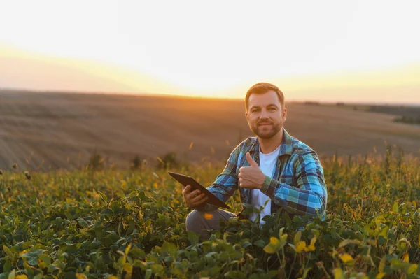 Çiftçinin tarım için modern teknolojiyi kullandığı soya tarlası ekili, iyi niyet göstergesi