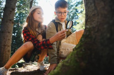 İki genç kaşif, bir oğlan ve bir kız, bir ağacın kabuğunu incelemek için bir büyüteç kullanıyorlar.