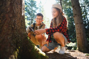 İki genç turist, yürüyüş maceraları sırasında bir ağaç gövdesinin detaylarını gözlemlemek için bir büyüteç kullanarak bir ormanı keşfediyorlar.