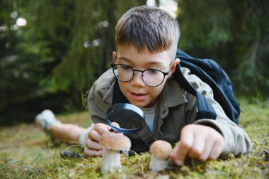 Genç turist doğayı keşfediyor, ormanda yürüyüş yaparken büyüteçle mantarları gözlemliyor.