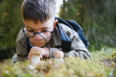 Doğayı keşfeden meraklı çocuk, ormanda yürüyüş yaparken büyüteçle mantarları gözlemliyor.