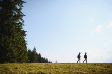 İki genç yürüyüşçü, güzel bir yaz gününde yemyeşil bir ormanın yakınındaki çimenli bir patikada manzaralı bir yürüyüşün tadını çıkarıyorlar.