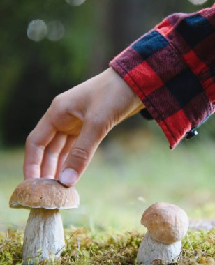 Yemyeşil bir ormanda yürürken büyük bir mantara nazikçe dokunan el, keşif macerası sırasında doğanın hazinelerini keşfeder.